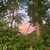 alisonmartin_55
